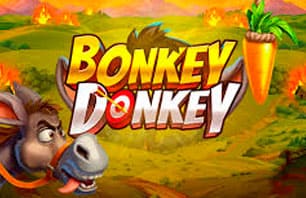 Bonkey Donkey
